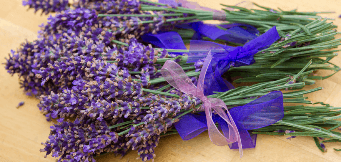 Sprigs Of Lavender With Ribbon On A table