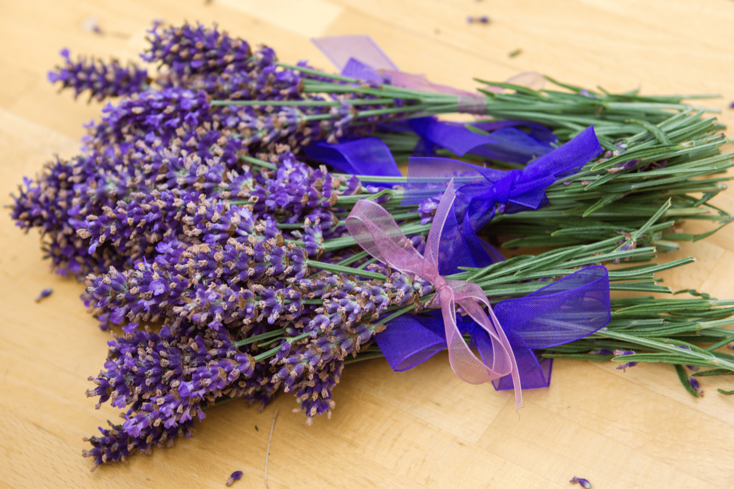 Sprigs Of Lavender With Ribbon On A table